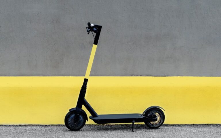 Why Are People Not Stealing the Bird or Lime Scooters